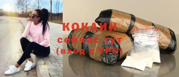 индика Майский