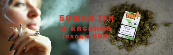 индика Майский