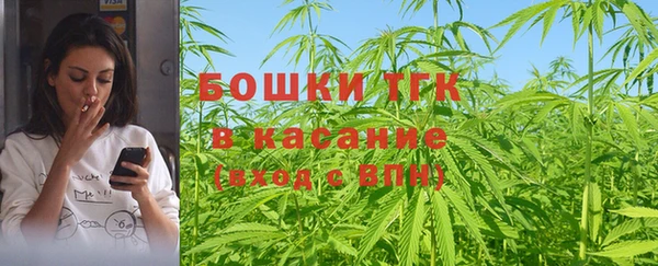 индика Майский