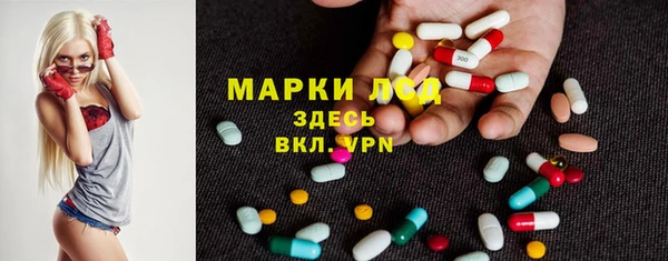 индика Майский