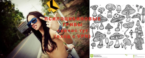 индика Майский