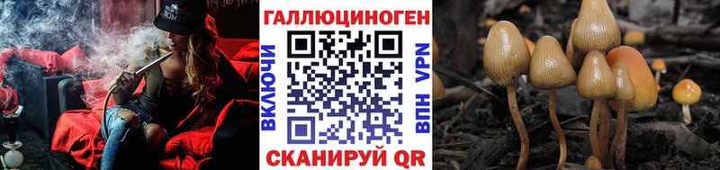 Галлюциногенные грибы MAGIC MUSHROOMS  Новокузнецк 