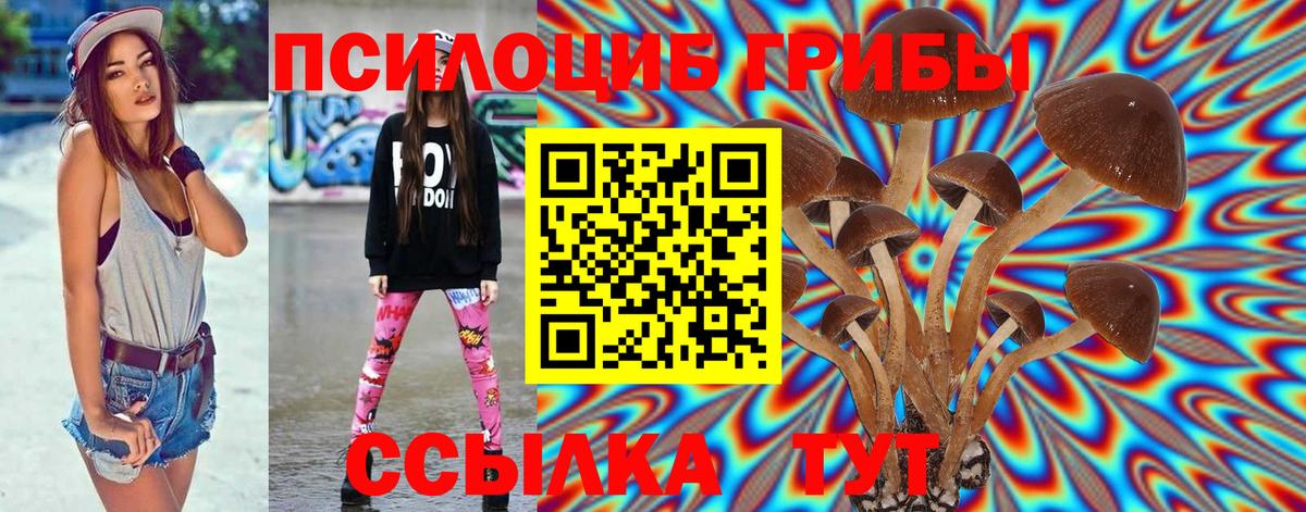 Псилоцибиновые грибы Magic Shrooms  Вход с VPN  Псилоцибиновые грибы Cubensis  Новокузнецк 